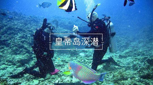 冰淇淋的诱惑