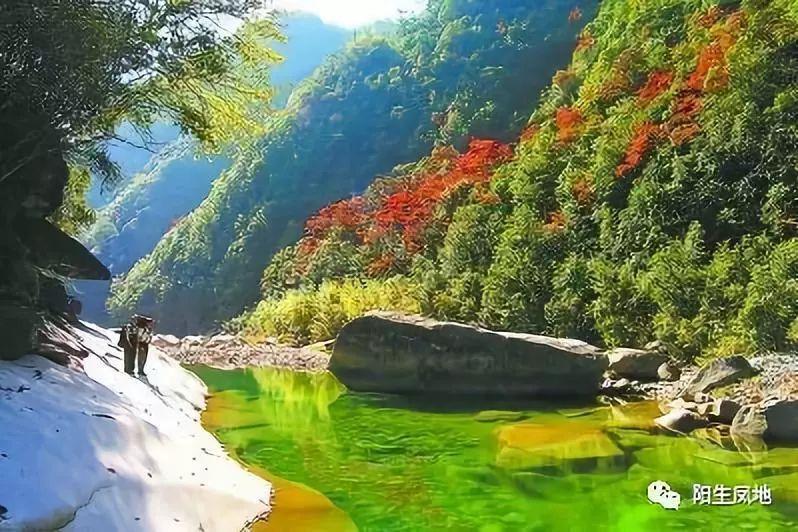 植物大战僵尸5